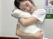 抖音举报投诉全攻略，维权无门时，别忘了还有专业团队帮你，抖音怎么举报投诉抖音